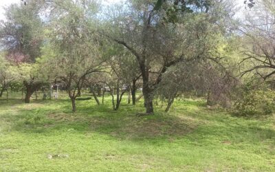 Fomenta la Ruta 54 trabajo y turismo responsable