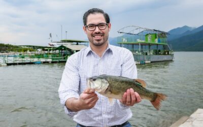 Siembran 70 lobinas negras en Presa de La Boca