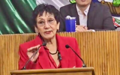 Conmina diputada Lupita a ‘descongelar’ reforma paritaria