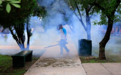 Gobierno de Guadalupe refuerza sus acciones en la lucha  contra el dengue