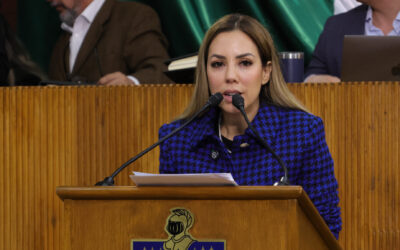 Perla Villarreal presenta exhorto para una mejor gasolina y los litros “sean de a litro”