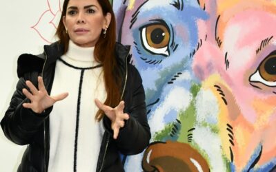 Integra Gobierno de Monterrey a mascotas en su programa de apoyo por bajas temperaturas