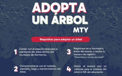 Invita Monterrey a participar en el programa “Adopta un árbol Mty”