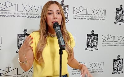 Perla Villarreal señala que la CFE podría entrar en crisis