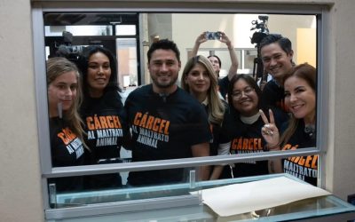 Presenta Glen Villarreal Zambrano junto a Colectivos iniciativa para que crueldad animal sea castigada con cárcel