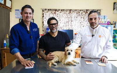 Veterinarios de Nuevo León serán capacitados para tratar mascotas con gusano barrenador