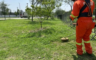 Limpian Nuevo León de día y de noche para que luzca en el Mundial