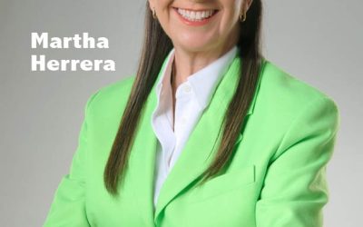 Politica 4