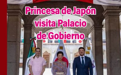 Politica 6