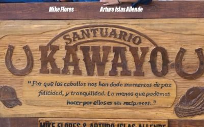 Especial Kawayo